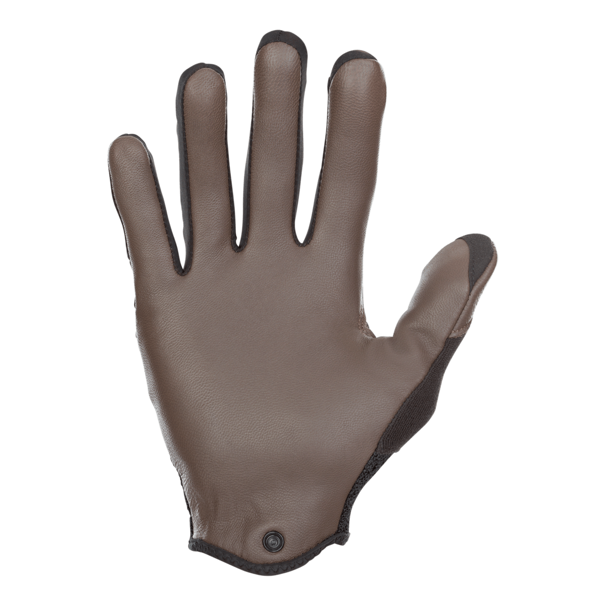 ION Scrub Select 2021