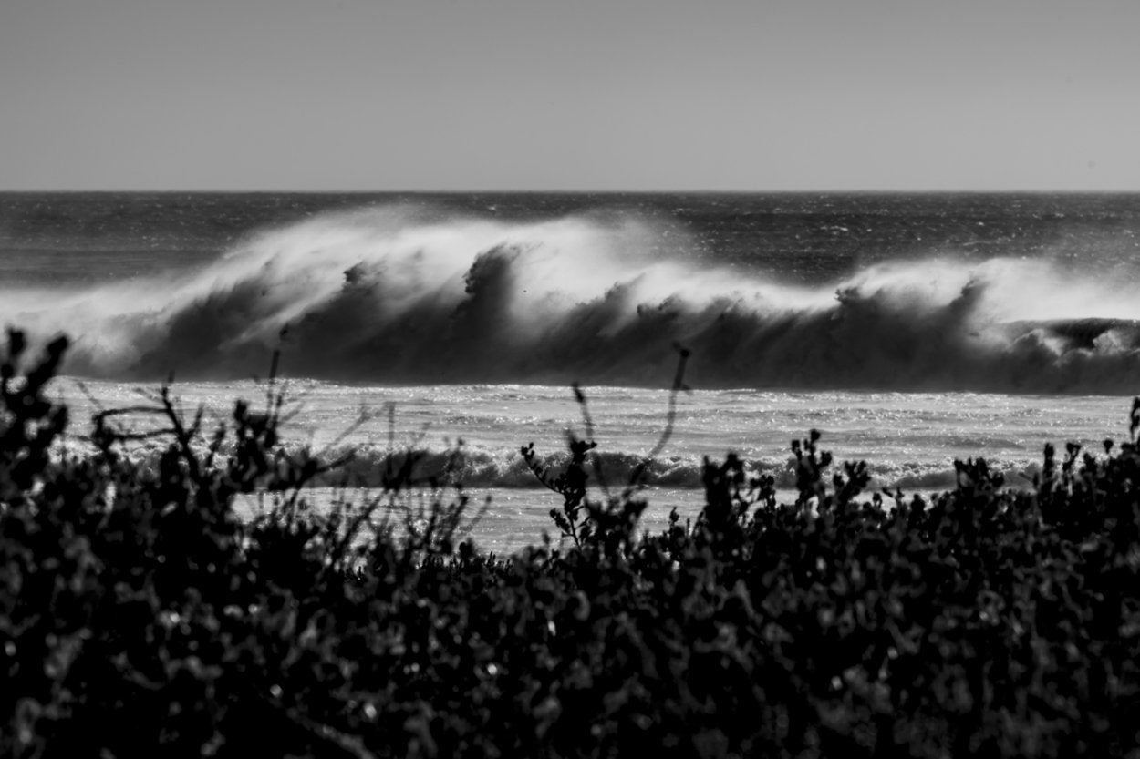 ION Men Wetsuit Element 5/4 Front Zip 2023