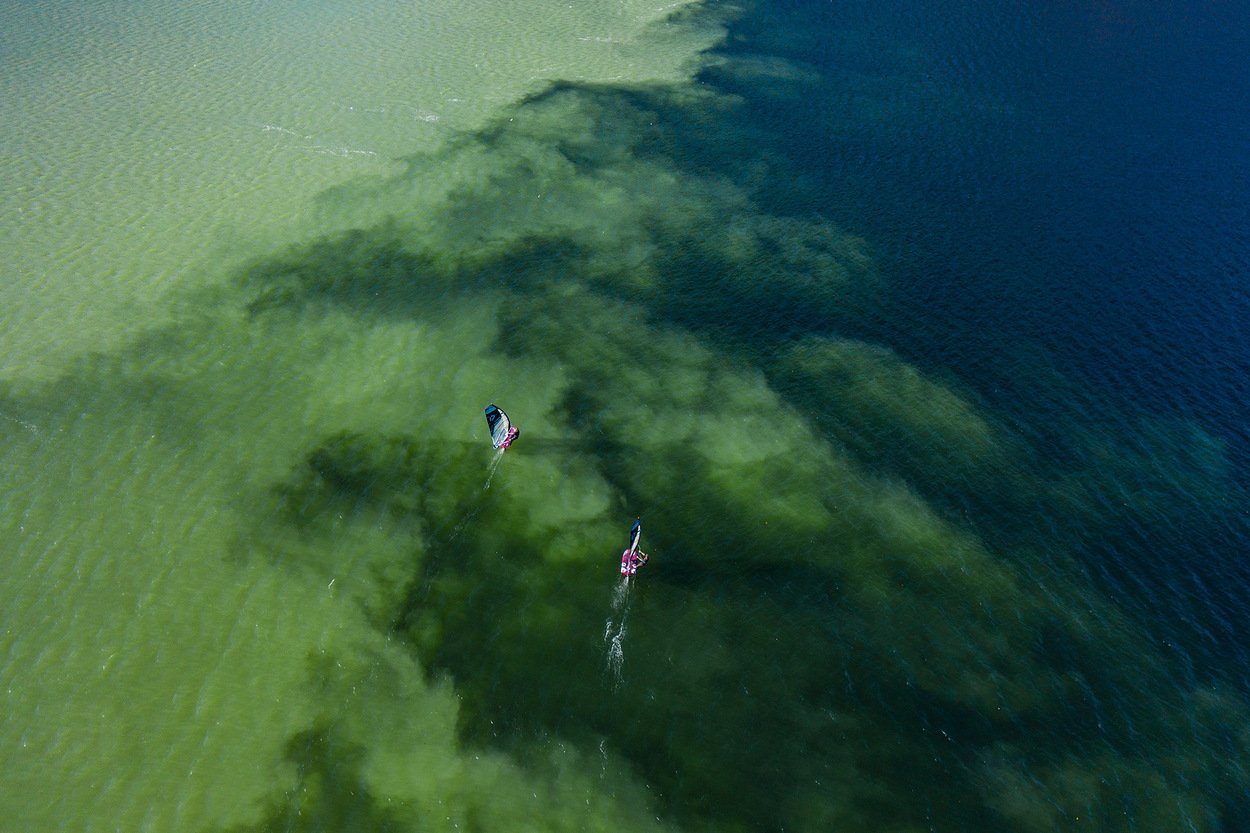 Fanatic Falcon Foil TE 2021